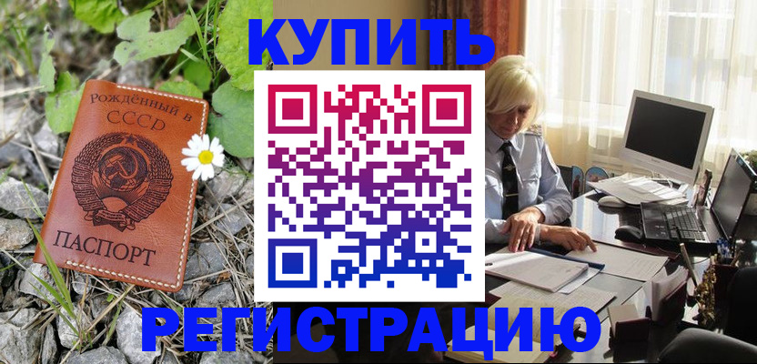 временная регистрация поиск в Новгородской области